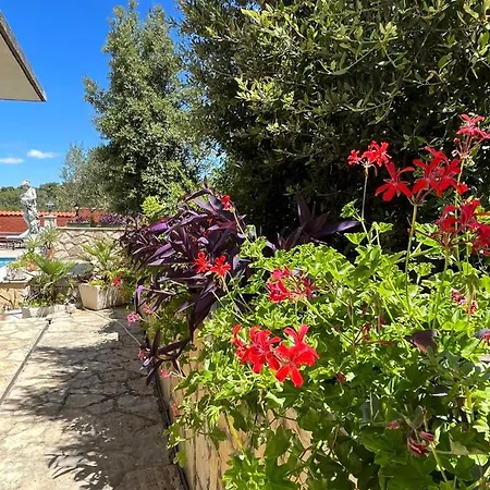 Gorana With Swimming Pool * Jelsa (Hvar)