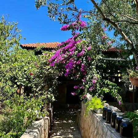 Gorana With Swimming Pool * Jelsa (Hvar)