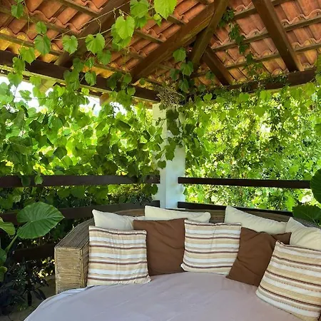 Gorana With Swimming Pool Apartment *