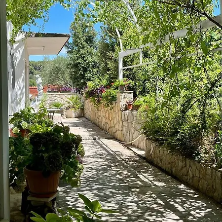 Gorana With Swimming Pool Jelsa (Hvar)